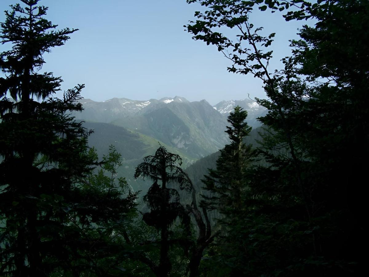 Studio 4 Personnes Au Pied Des Piste Plateau De Bonascre - Ax 3 Domaines Ete Hiver 阿克斯莱泰尔姆 外观 照片